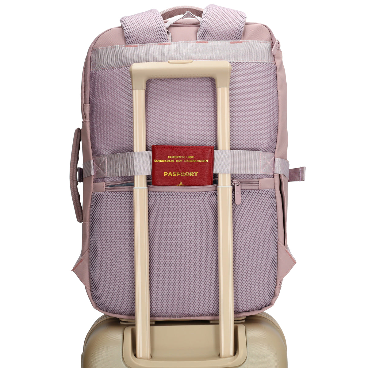 Rucksack 48x32x18cm in Rosa mit Brustgurt und Aufsteckfunktion - leder-accessoires.com
